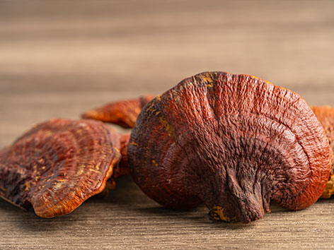 Ganoderma-Lucidum